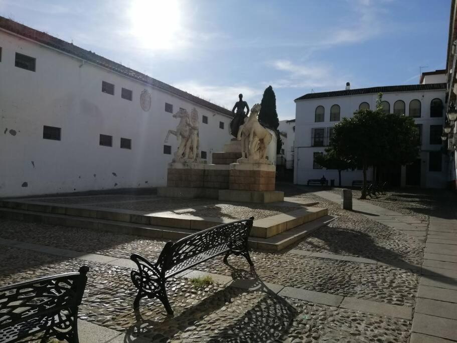 Trotamundos, Apartamento Nuevo En El Centro コルドバ エクステリア 写真